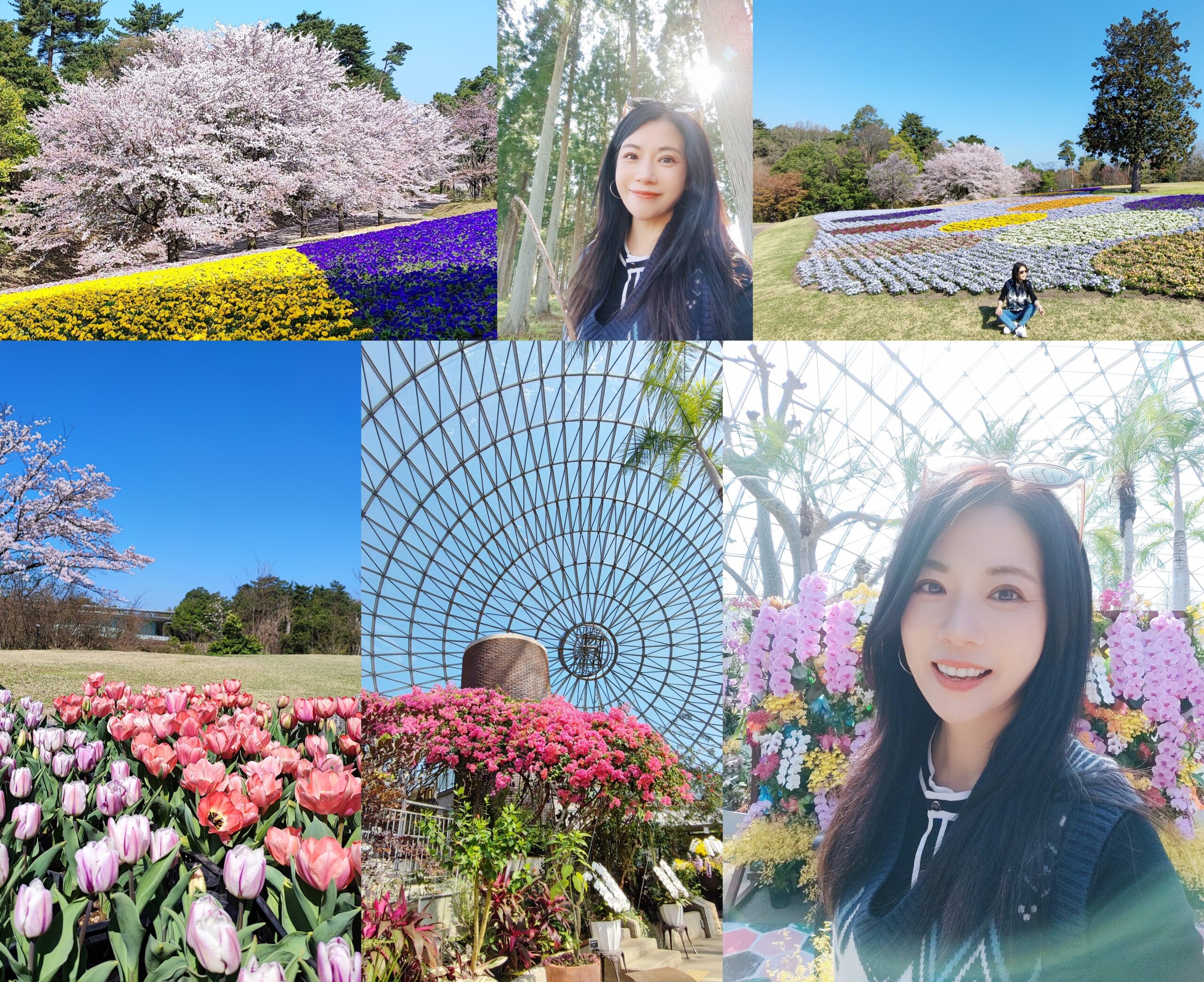 ◎日本中國地方山陰鳥取縣花卉公園【鳥取花回(迴)廊】日本最大的花卉主題公園、巨大的圓頂花房、一公里的展望迴廊 @傑菲亞娃 JEFFIA FANG