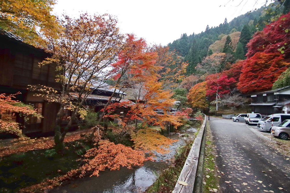 日本鳥取。板井原集落︱智頭町紅葉勝地。宛如神去村般的山中祕境－齊哥的食旅探go｜痞客邦