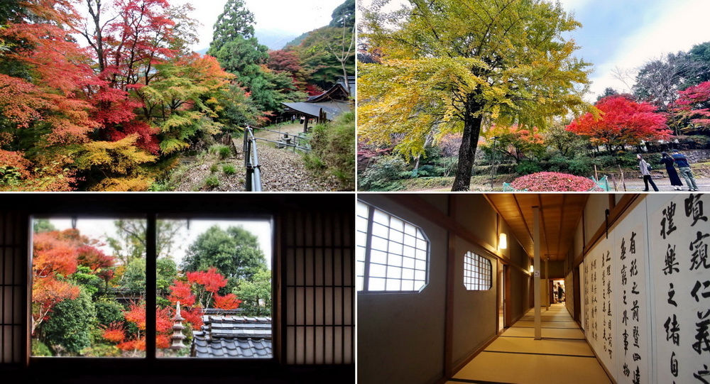 日本鳥取。智頭町紅葉︱諏訪神社 vs. 石谷家住宅。日本大正年代宿場2大引人焦點－齊哥的食旅探go｜痞客邦