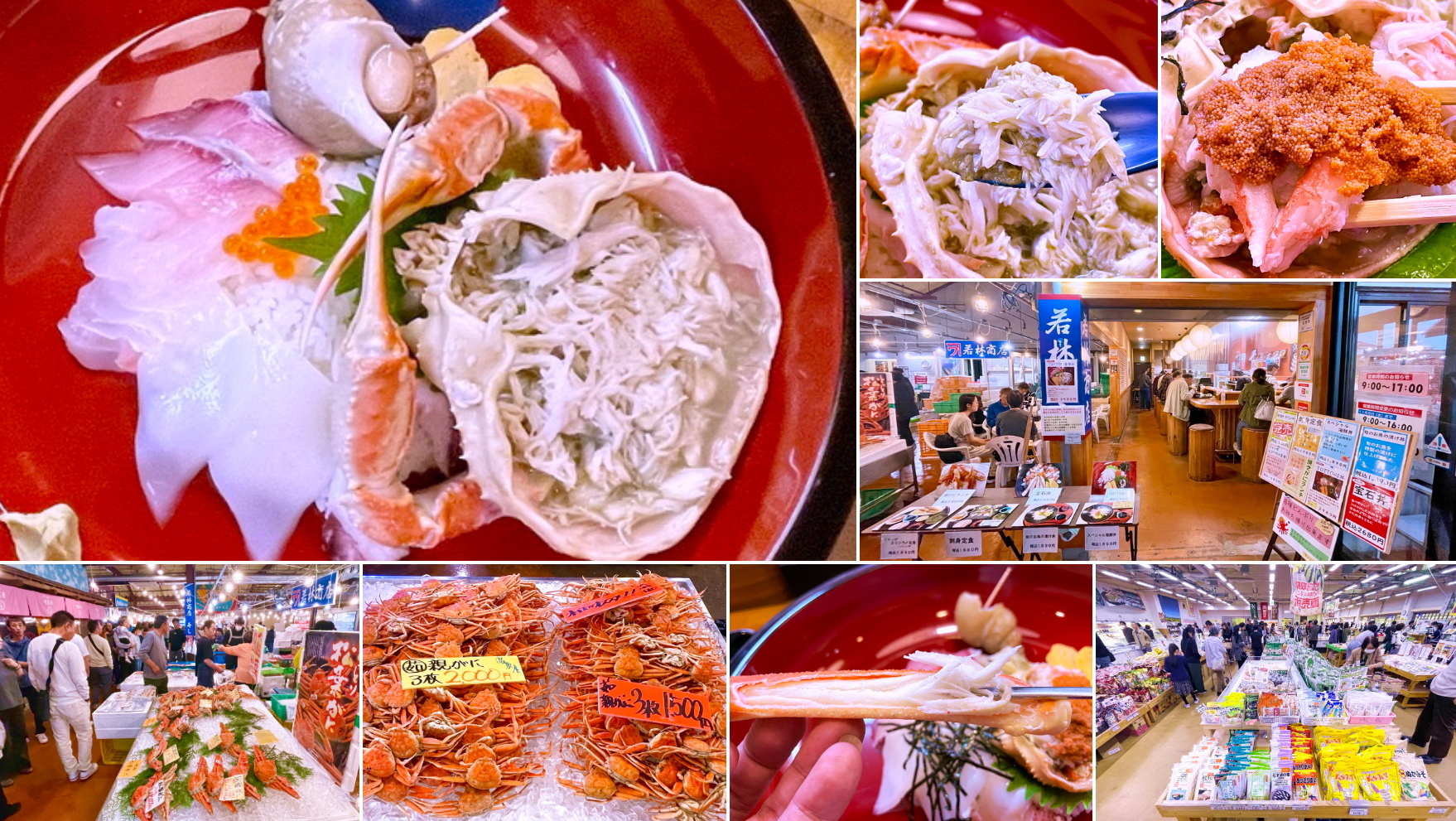 日本鳥取。賀露市場︱海鮮、農特產超市、餐廳林立的集散市場。人氣餐廳大吃松葉蟹丼飯－齊哥的食旅探go｜痞客邦