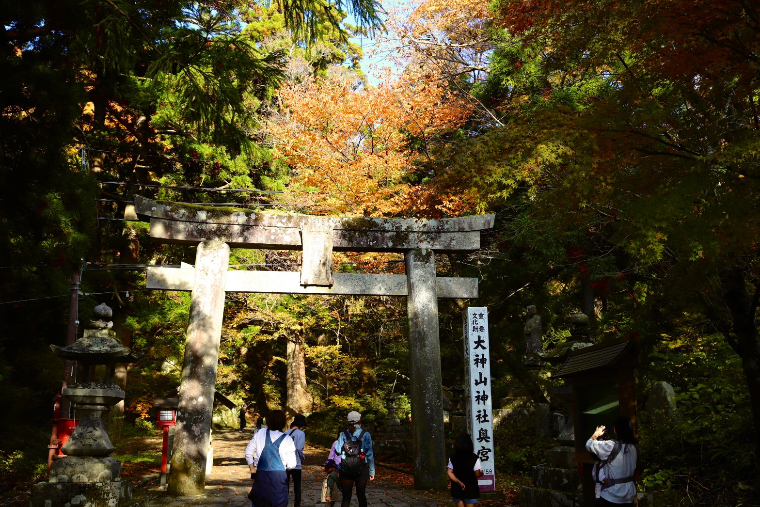 2022日本楓葉「大山寺」居然有楓紅白雪絕佳美景! Google評價千則留言推薦，10月中至11月中最佳賞楓期