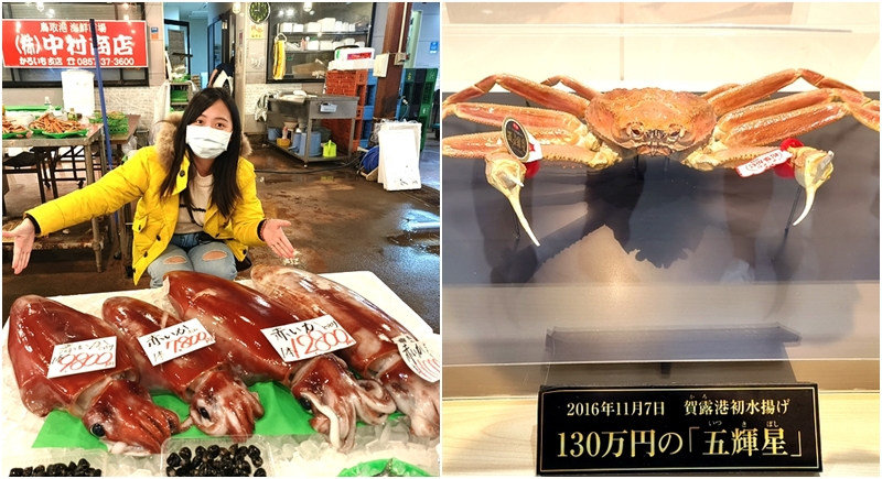 身價高達130萬的松葉蟹長這樣!