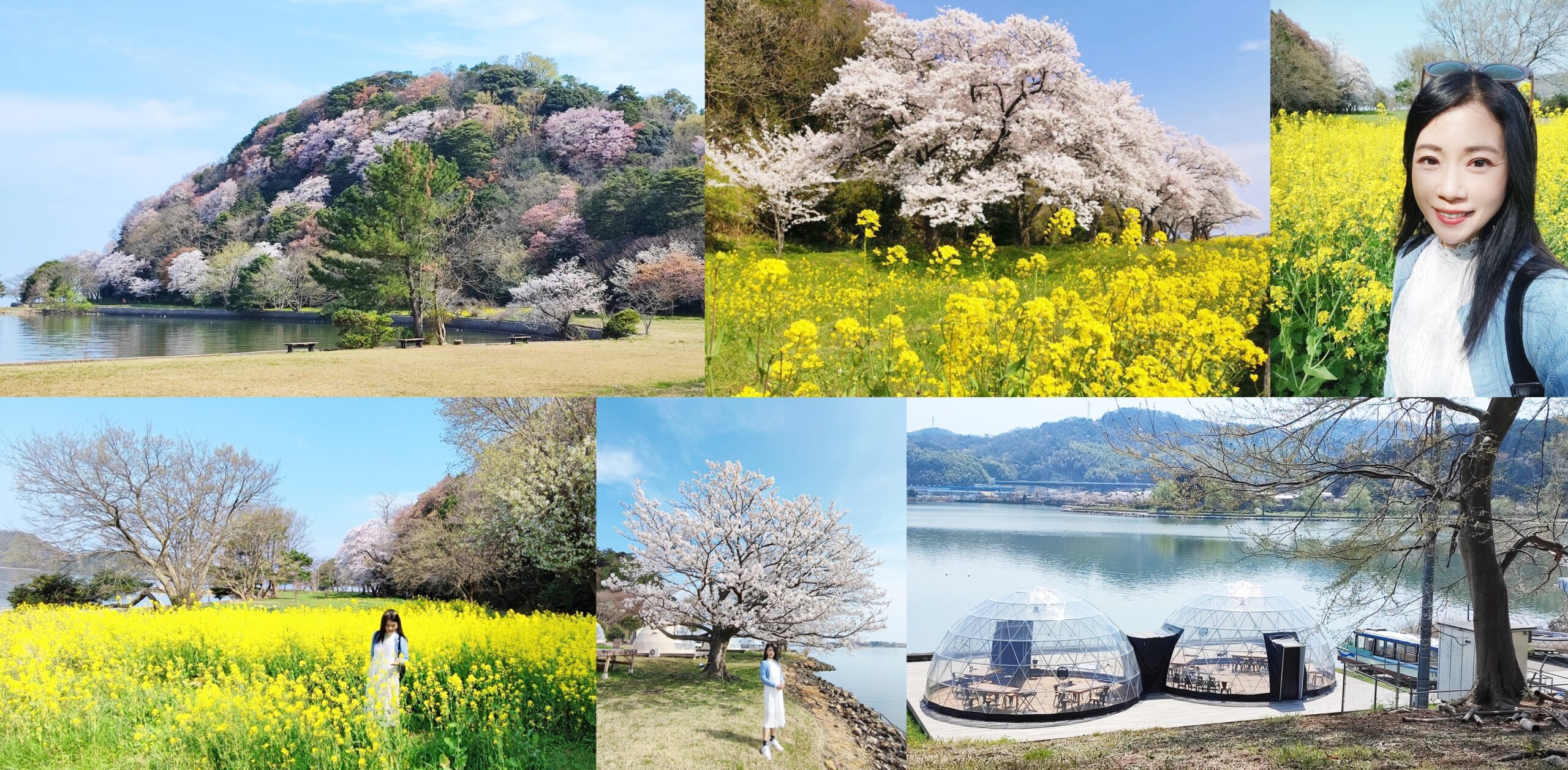 ◎日本中國地方山陰鳥取縣【湖山池公園「青島」】粉紅、水藍、鮮綠、澄黃的春色無邊 @傑菲亞娃 JEFFIA FANG